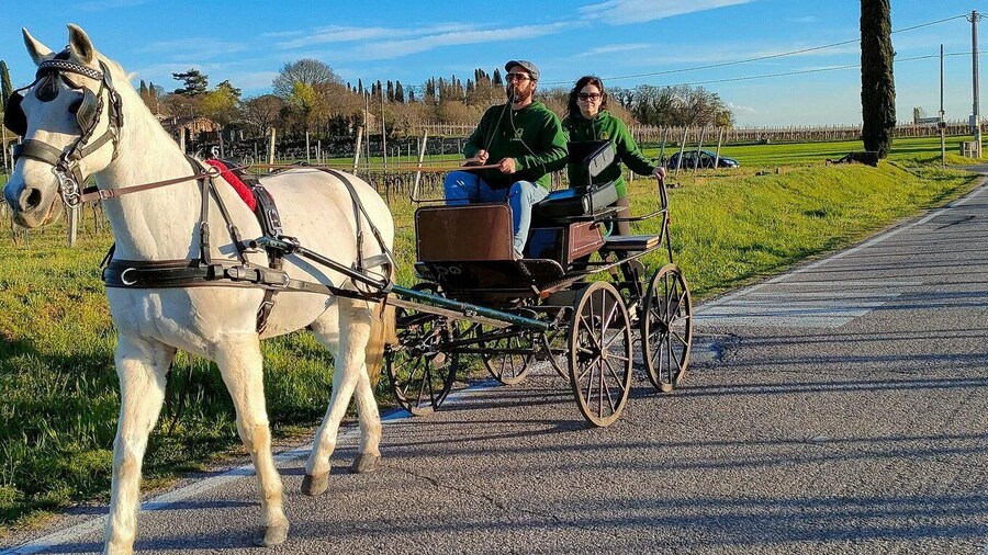 Lazise: horse carriage tour with tasting of local products