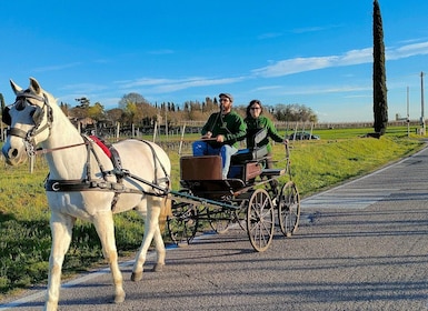 Lazise: horse carriage tour with tasting of local products