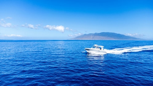 Alii Nani Luxury Boston Whaler Private Charter for up to 6 Passengers