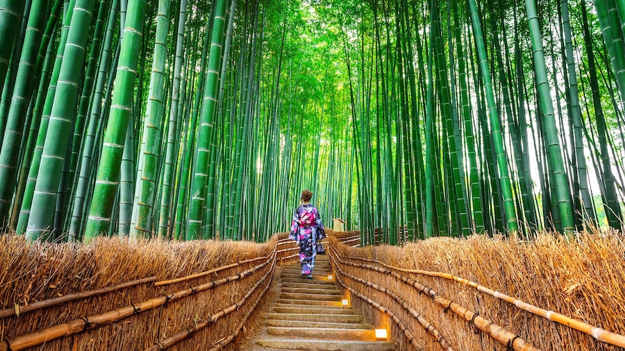 Japan: Kansai Nara Kyoto Day Tour