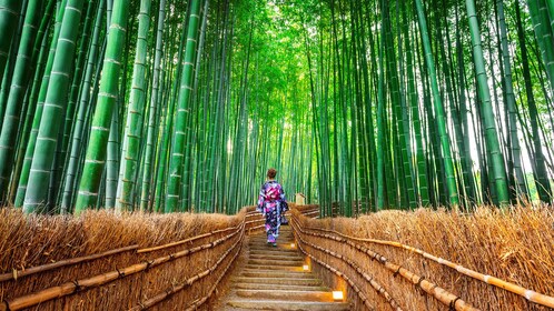 Japan: Kansai Nara Kyoto Day Tour