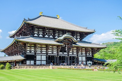 Japan: Osaka Ikoma Skybike & Nara Park Mt. Wakakusa Day Tour