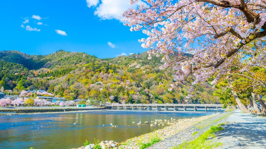 Japan: One-Day Tour to Arashiyama, Nara, Kyoto