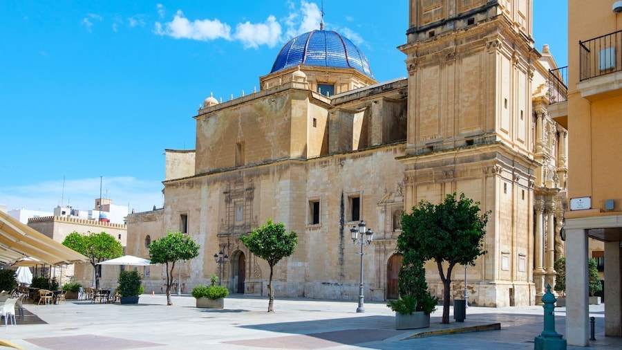 Elche Private Half-Day Tour – Palms, History & Heritage