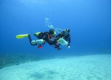 Introductory dive, to get started!