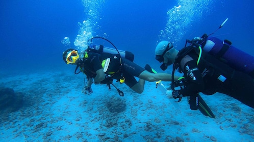 Guided exploration for certified divers (N1, PE20, Open Water min.)