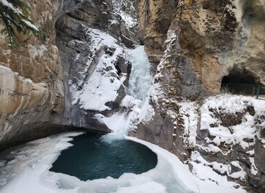Banff/Canmore: Johnston Canyon & Marble Canyon
