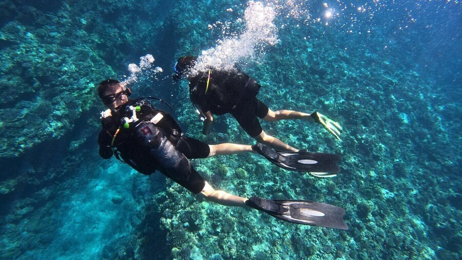 One-hour introduction to scuba diving!