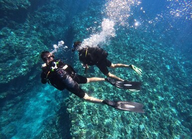 One-hour introduction to scuba diving!