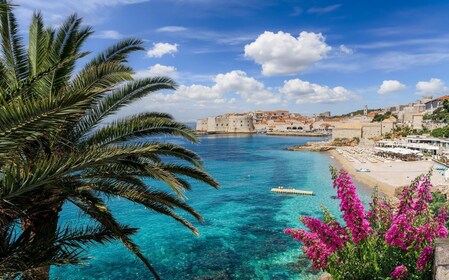 Dubrovnik Sights & Sips : City Highlights & Local Wine Tasting