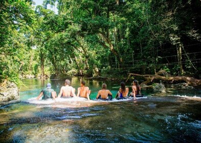 Port Vila: Blue Lagoon, Eden on the River & Turtle Tour