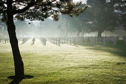 Omaha Highlights Tour with a DDAY expert from Bayeux