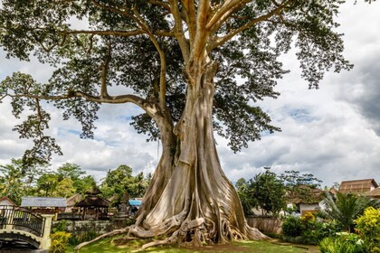 ทัวร์วันเดียวที่ Jatiluwih: นาขั้นบันได วัด และหมู่บ้านในใจกลางบาหลี