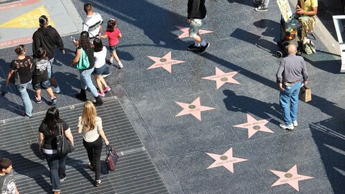 1-Day Tour to Shining Star Transformation From Los Angeles