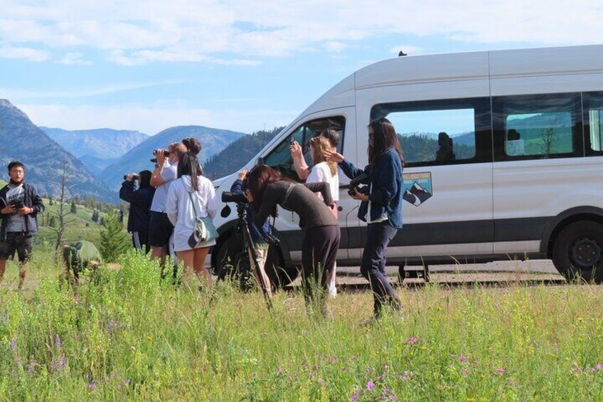 Spotting wildlife near Slough Creek, Upper Loop.