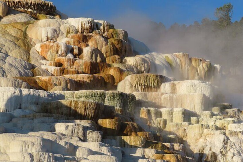 Mammoth Hot Springs in tender light.