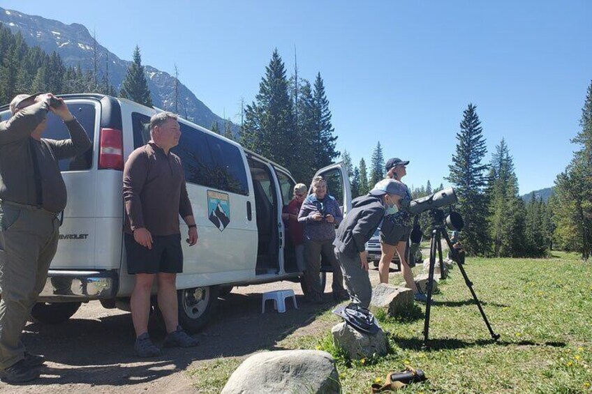 Upper Loop Tour and Lamar Valley from West Yellowstone with Lunch