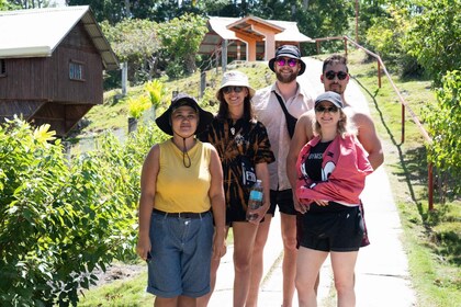 Bohol: Pamilacan Island Dolphin/Turtle Watching Tour & Lunch