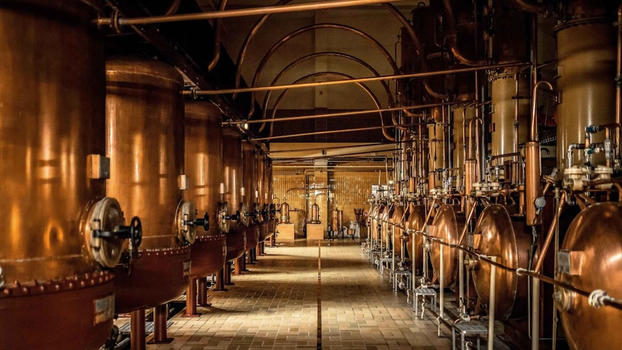 Cointreau Distillery: From Zest to Shaker
