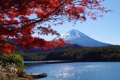 From Tokyo: Mt.Fuji, Lake Kawaguchiko Japanese Calligraphy 1-Day Bus Tour