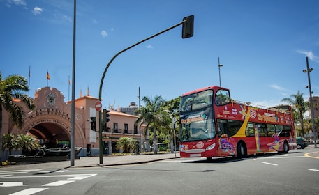 City Sightseeing Santa Cruz de Tenerife Hop-On Hop-Off Bus Tour