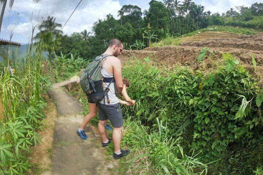 ACTIVITIES IN KANDY FARMERS VILLAGE