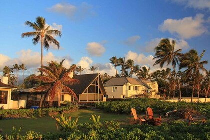 Oahu: Private custom tour with a local guide