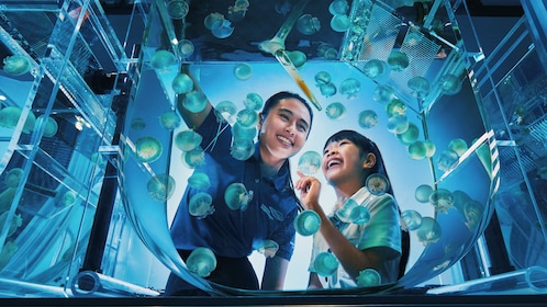 Singapore Oceanarium Experience