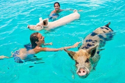 Private Koh Madsum (Pig Island) & Koh Tan by Longtail Boat Tour