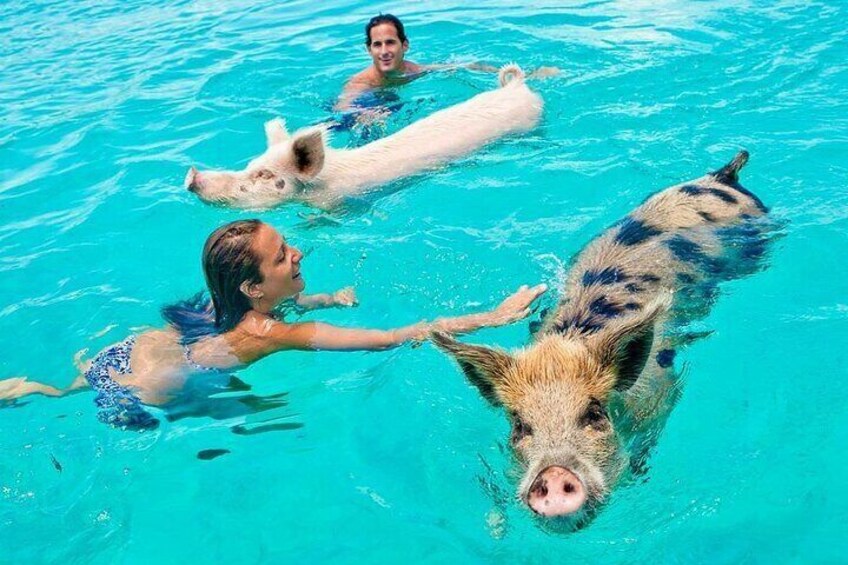 Koh Tan & Koh Madsum (Pig Island) by Private Longtail Boat