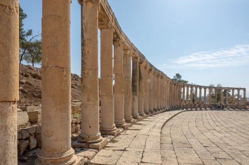 From Amman :Private day tour to Jerash and Ajloun