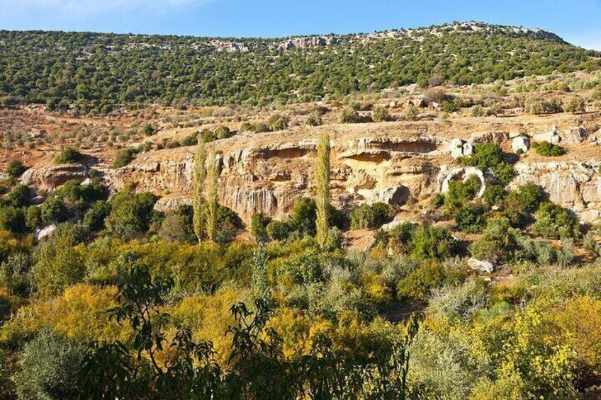 From Amman :Private day tour to Jerash and Ajloun