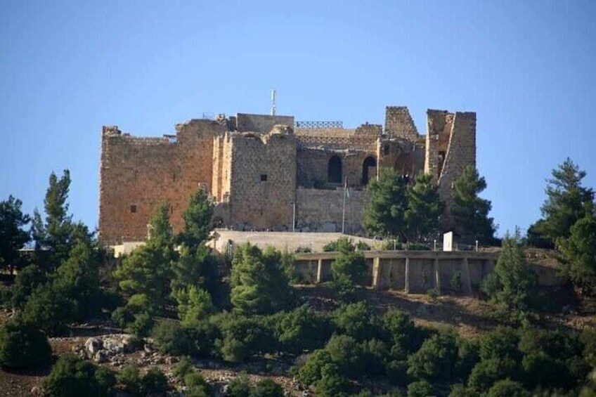 Private Outdoor Half-Day Tour in Jerash with Pickup