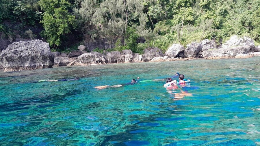 Vanuatu: Turtle and Snorkeling Tour with Lunch