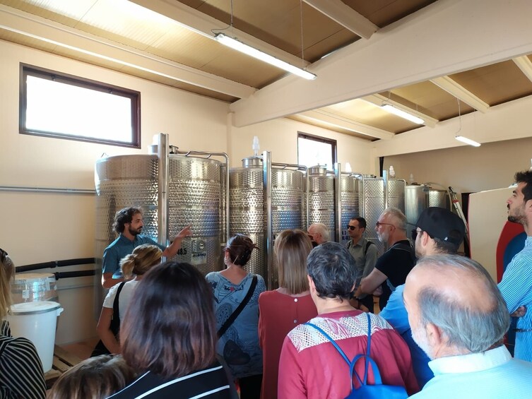 Wine Tour and tasting the winery and oil in Livorno