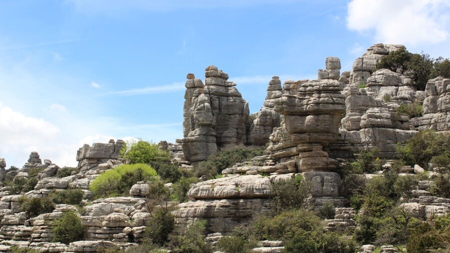 Antequera & El Torcal: Nature & History Ride from Málaga