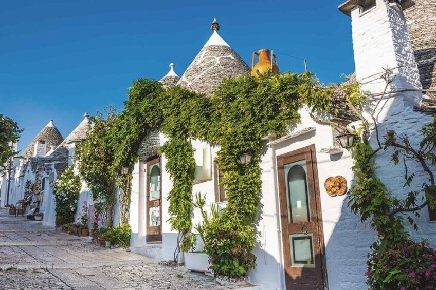 Trip to Alberobello from Bari (transport included)