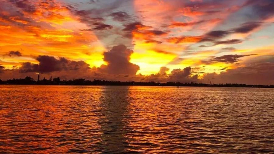 Anna Maria Island: Sunset Dolphin Cruise