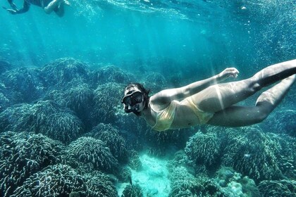Koh Lipe: Full Day Multi-Island Snorkelling Trip with Lunch