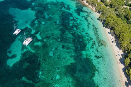 From Palma de Mallorca: Day Trip to Cap de Formentor & Northern Coast