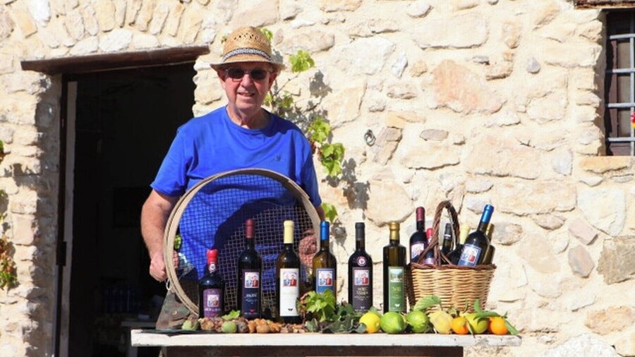 Vineyard Tour, Wine & Sicilian delicacies tasting at a Winery in Agrigento