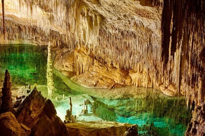From Palma de Mallorca: Day Trip to Drach Caves & East Coast Highlights