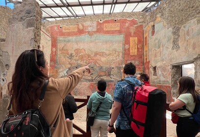 Petualangan Bersejarah Napoli dan Pompeii dengan Makan Siang Termasuk