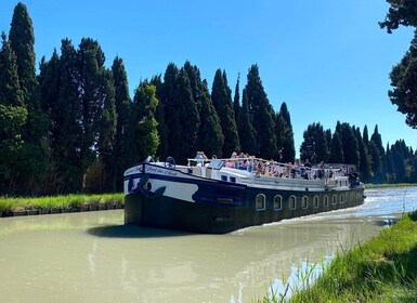 Béziers: Half-day cruise on the Canal du Midi