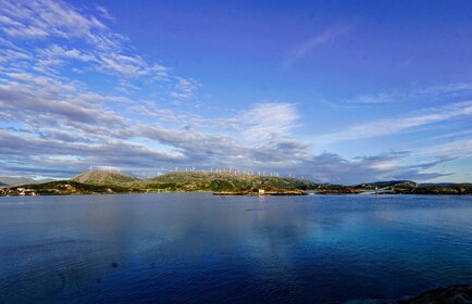 Arctic road trip - day tour.