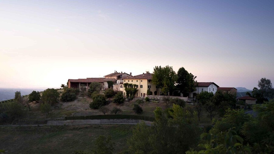Langhe: Visit to the vineyard landscape and historic cellars, wines