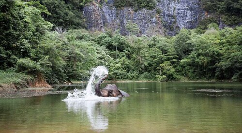 Krabi: Ethical Elephant Sanctuary & Tiger Cave Temple Tour