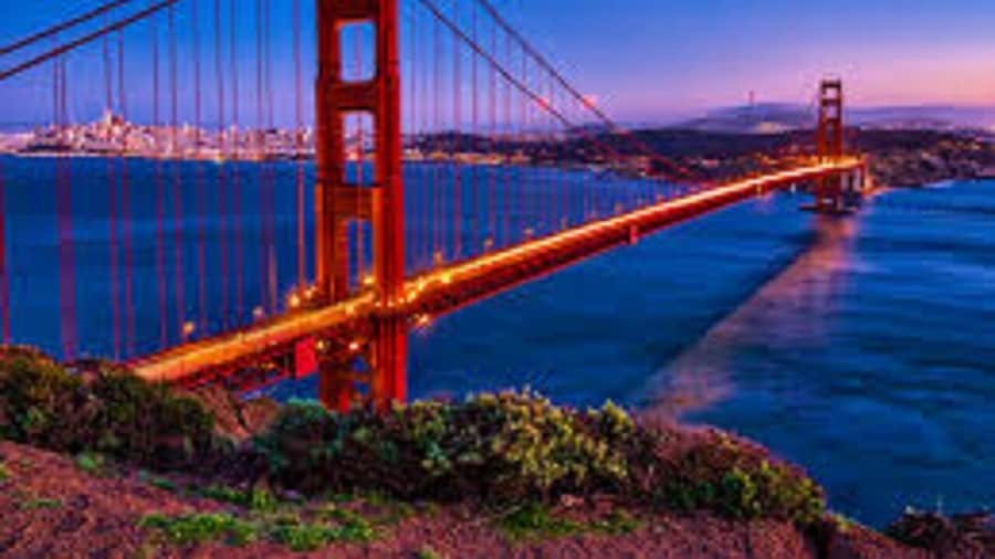 Muir Woods & Sausalito with EXCLUSIVE Battery Spencer Small Group Tour