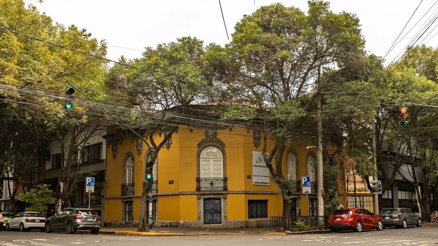 Mexico City Layover Tour: Art, Culture & Color in Just a Few Hours