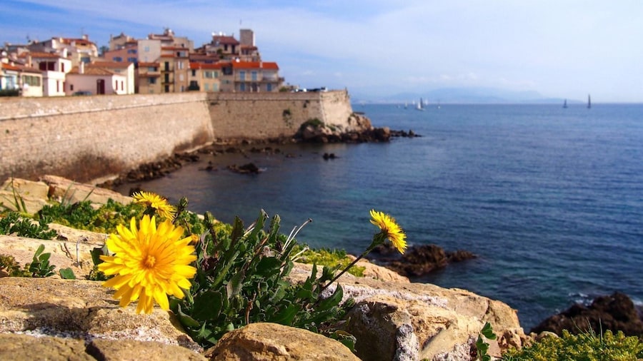 Artistic & Coastal Delights: Antibes, Cannes & Saint-Paul-de-Vence